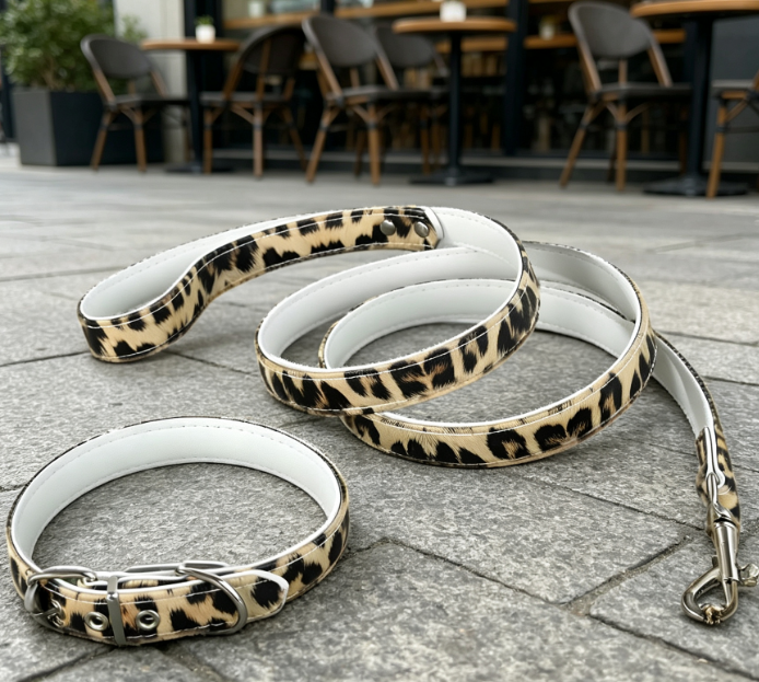 Canvas Collar And Leash Set With Metal D-Ring - Image 2