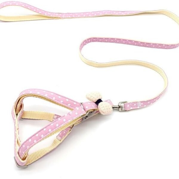 Nylon And Canvas No-Choke Harness And Leash Set