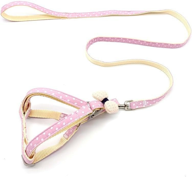 Nylon And Canvas No-Choke Harness And Leash Set