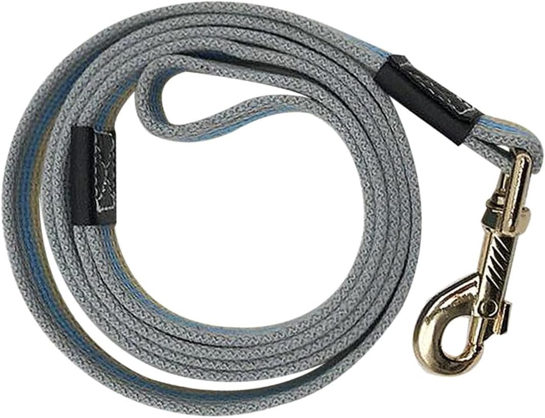 Sturdy Canvas Outdoor Training Leash