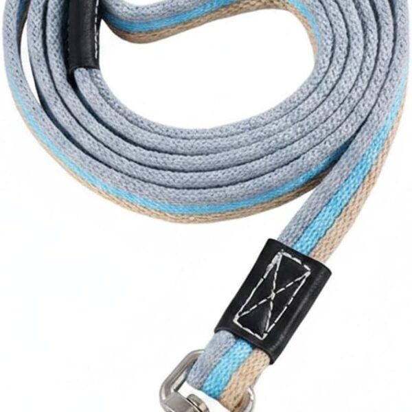 Fixed-Length Heavy-Duty Canvas Leash With Comfortable Grip