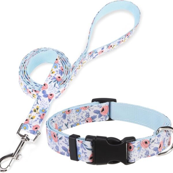 Soft, Adjustable Collar And Heavy-Duty Nylon Leash Set