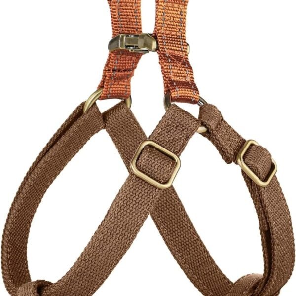 Nylon Step-In Harness And Leash Set With Metal Buckles