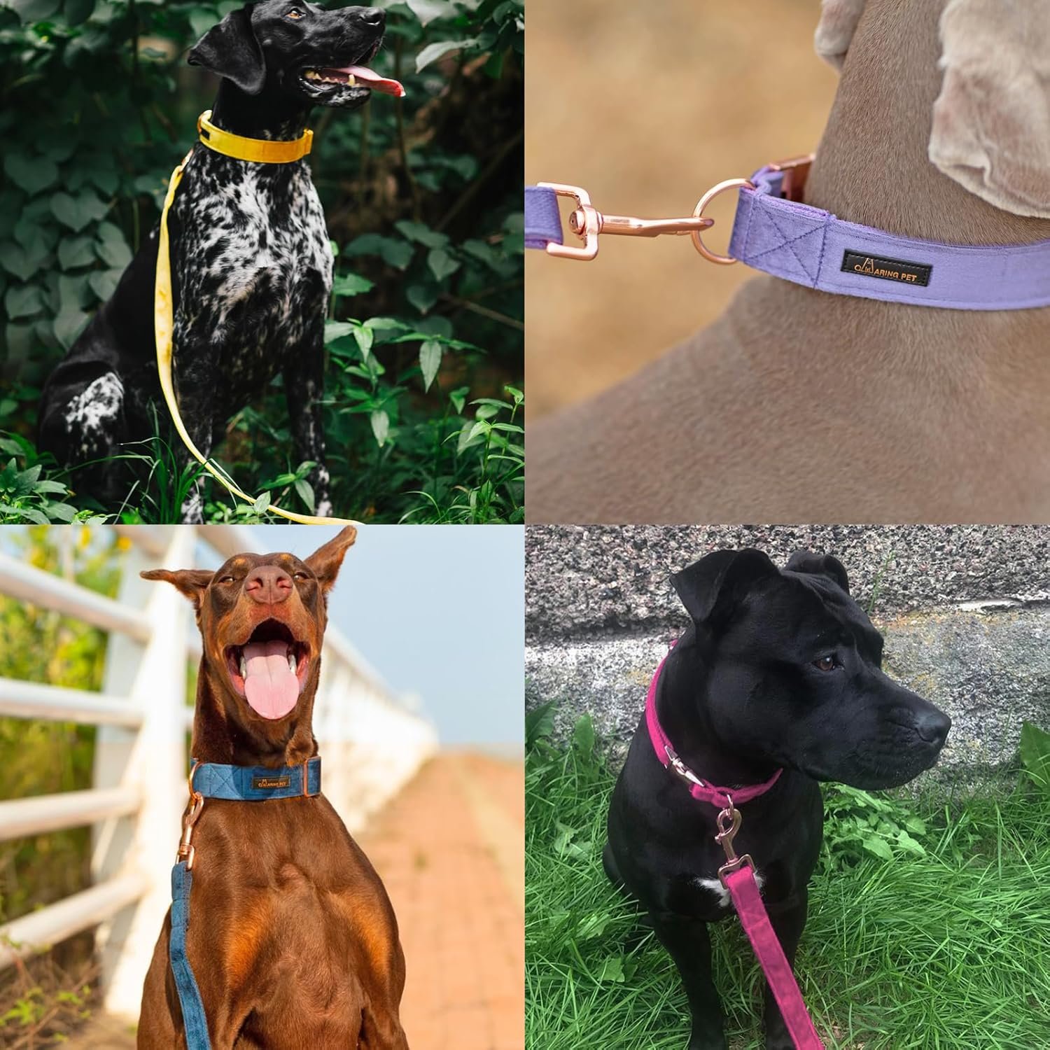 Handcrafted Soft Yet Sturdy Velvet Leash - Image 2