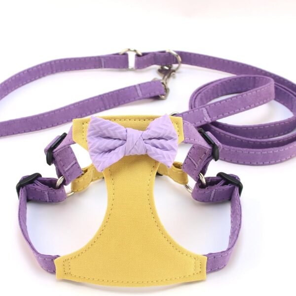 Breathable, Comfortable, No-Pull Harness Set For Small Dogs