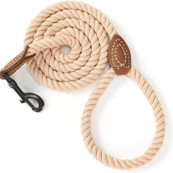 Cotton Rope Leash With Leather Connectors And Heavy-Duty Metal Clasp
