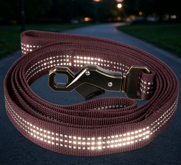 Durable Nylon Leash With Dual Handles And Metal Snap Hook - Image 2